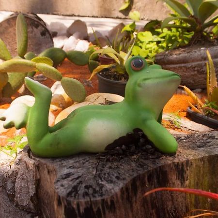 Pousada Villarejo ナタール エクステリア 写真